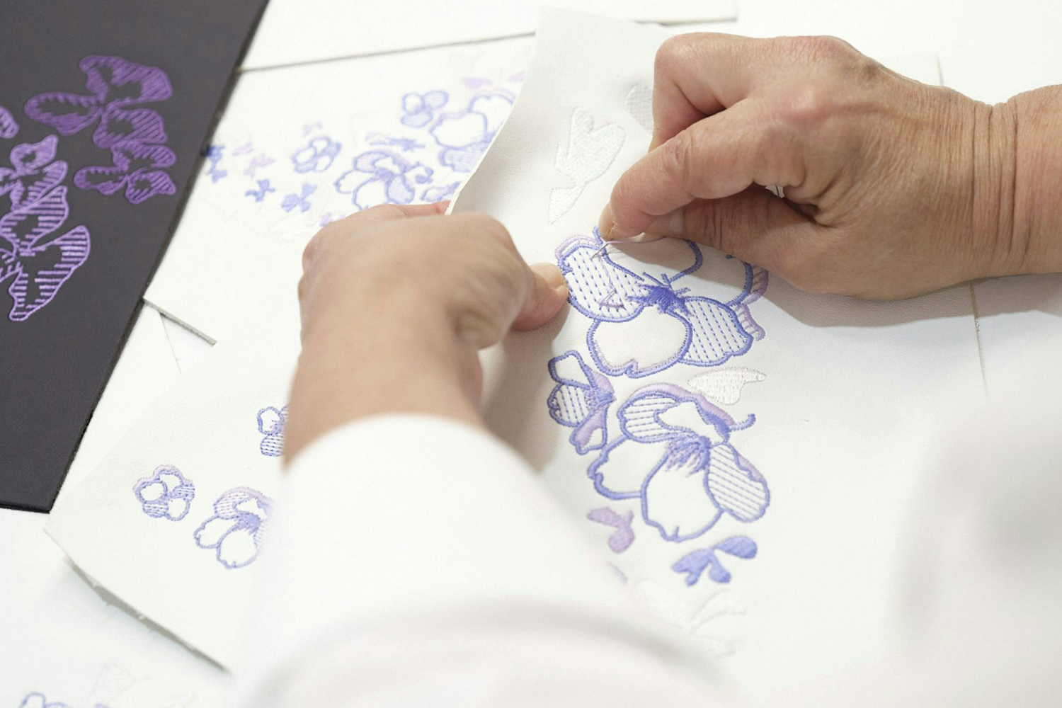 20260410_bugatti_caroline_012 〜 画像12