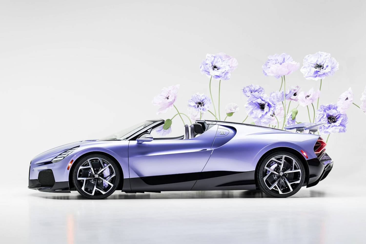 20260410_bugatti_caroline_020 〜 画像20