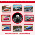 【画像】欧州じゃMTが当たり前すぎて「MTが楽しい」なんて感覚すらない！　アメリカじゃMTは特殊技能扱い！　世界のあまりに違いすぎるMT事情 〜 画像6