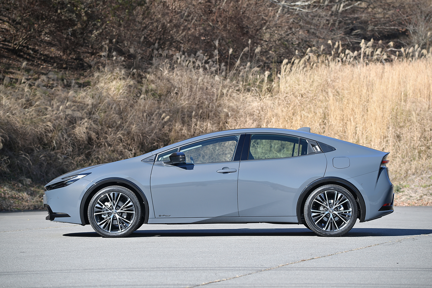 トヨタ・プリウスのサイドビュー