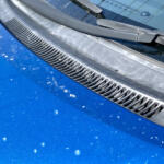 スギが終わりゃヒノキに白樺にイネ！　１年中飛んでる花粉はクルマにとっても大敵だった