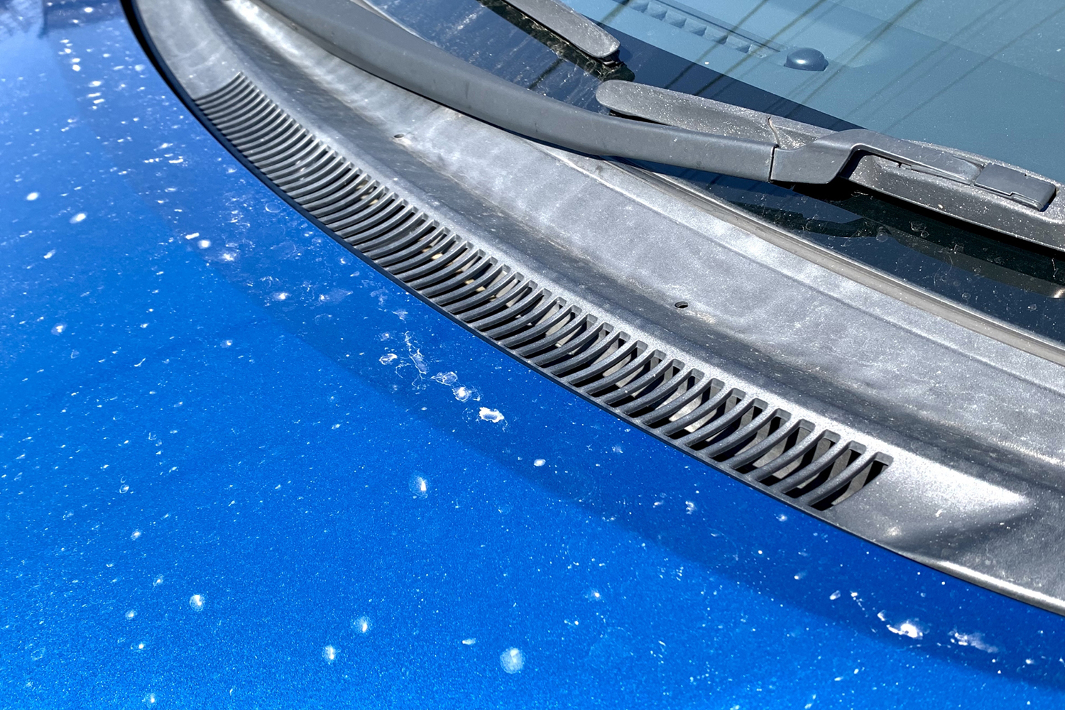 人だけでなくクルマまでダメージを負う可能性大の今すぐやりたい花粉対策