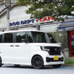 【画像】「外観デザインがどうなるか」がクルマのモデルチェンジの醍醐味……なのに全然変わってないじゃん！　「決して手抜きじゃない」超キープコンセプトのクルマの知られざる意図とは 〜 画像10