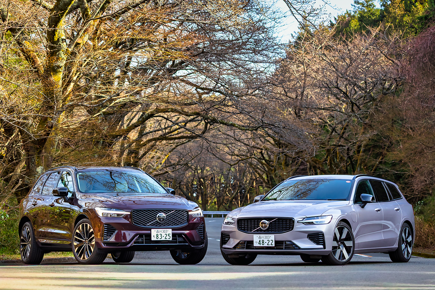 ボルボXC60とV60