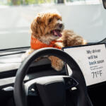 【画像】日本にピッタリのテスラが上陸！　３列シートで約800kmの航続距離を実現する「モデルＹ Ｌ」の商品力がヤバい 〜 画像11