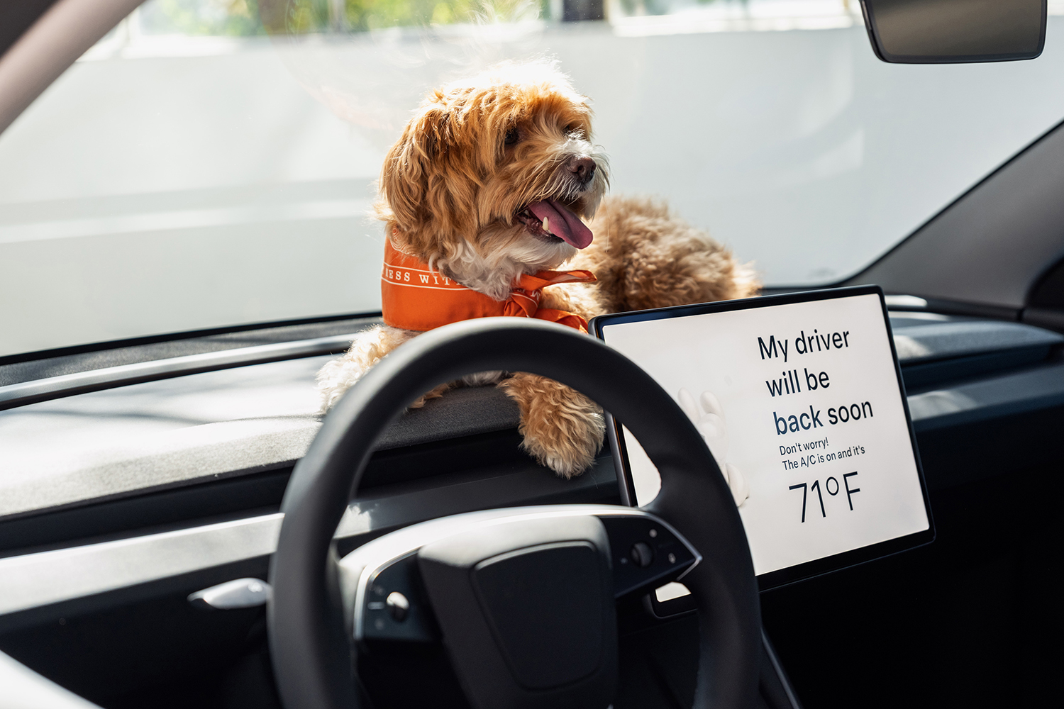 テスラがモデルYベースのニューモデル「モデルY L」を発表 〜 画像11