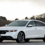 【画像】いわゆる3BOXの「ザ・セダン」はほぼ消滅！　消えた理由はドコにある？ 〜 画像7