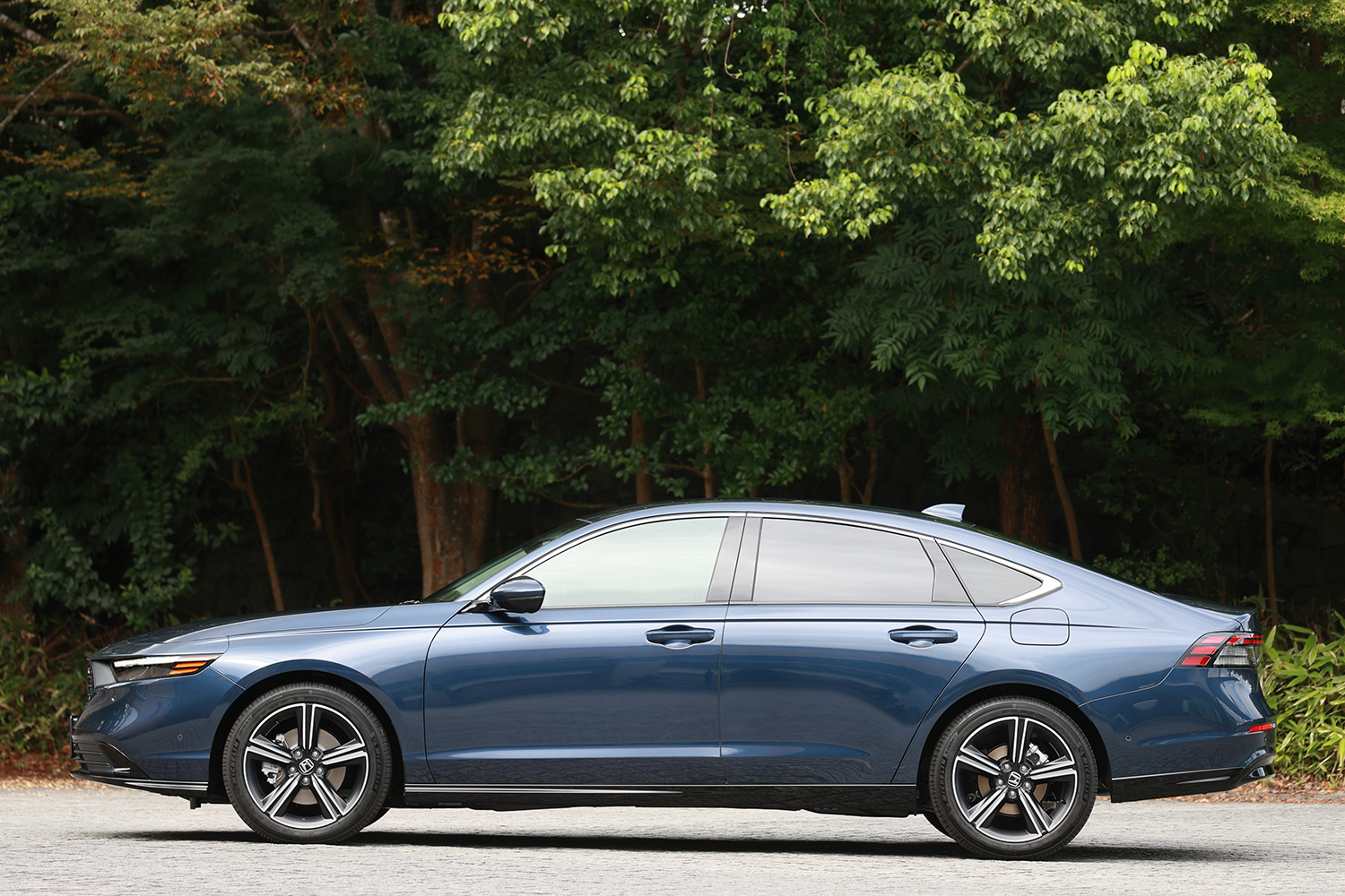 ホンダ・アコードのサイドビュー