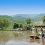 【画像】トラクターやコンバインは中古市場が充実していた！　独特のチェックポイントも面白い農機中古モデルの世界 〜 画像1