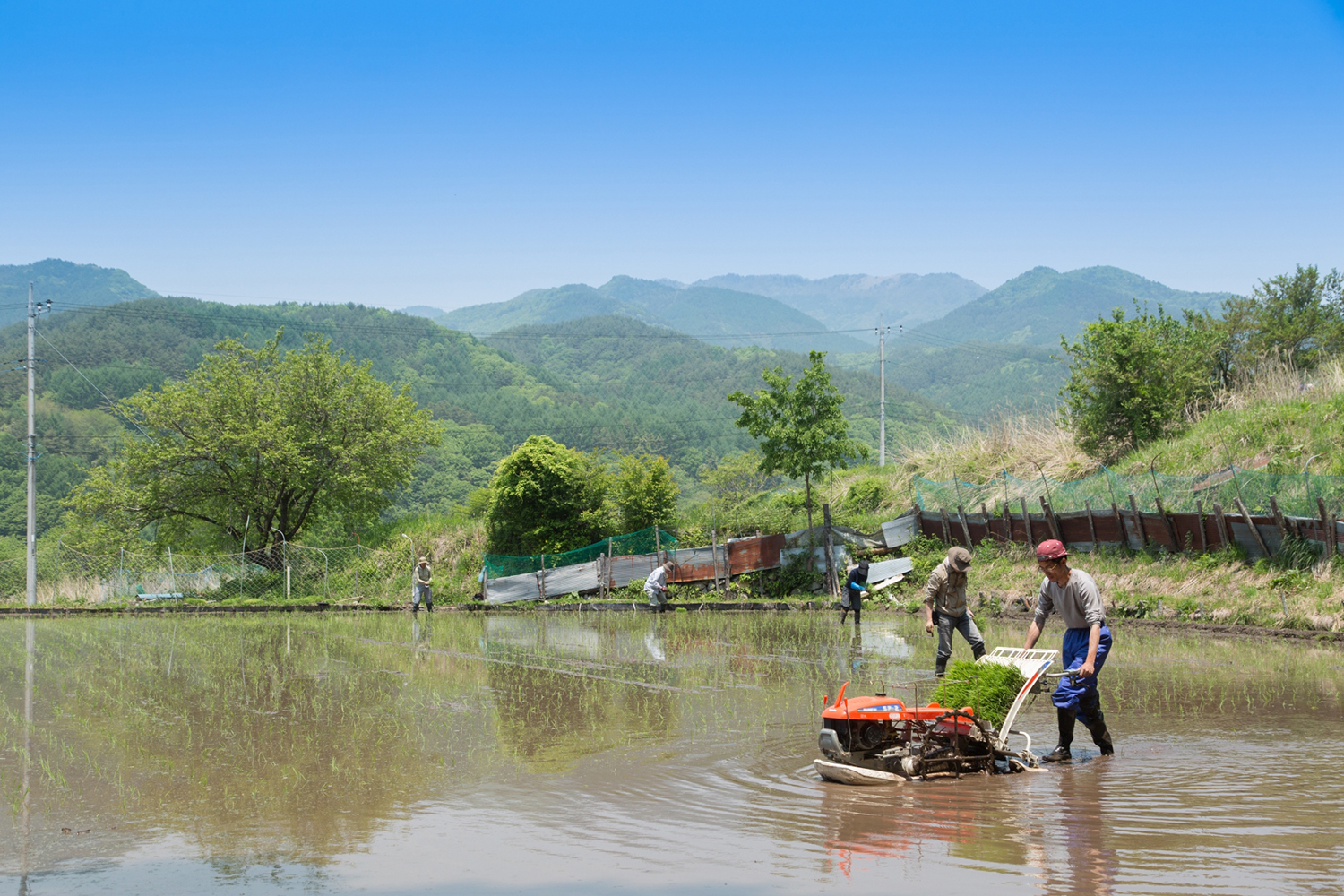 田植え機 〜 画像1