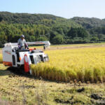 【画像】トラクターやコンバインは中古市場が充実していた！　独特のチェックポイントも面白い農機中古モデルの世界 〜 画像2