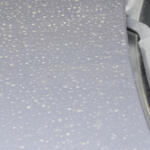 【画像】スギが終わりゃヒノキに白樺にイネ！　１年中飛んでる花粉はクルマにとっても大敵だった 〜 画像7