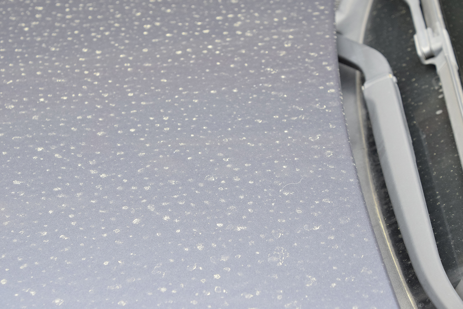 ボディにのった花粉