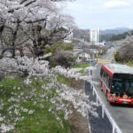 【画像】鉄道とバスのいいとこ取り……だが課題もアリ！　いま注目を集める「BRT」とは 〜 画像3