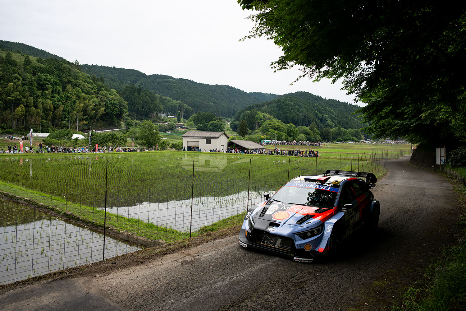 WRC 第7戦「フォーラムエイト・ラリージャパン」