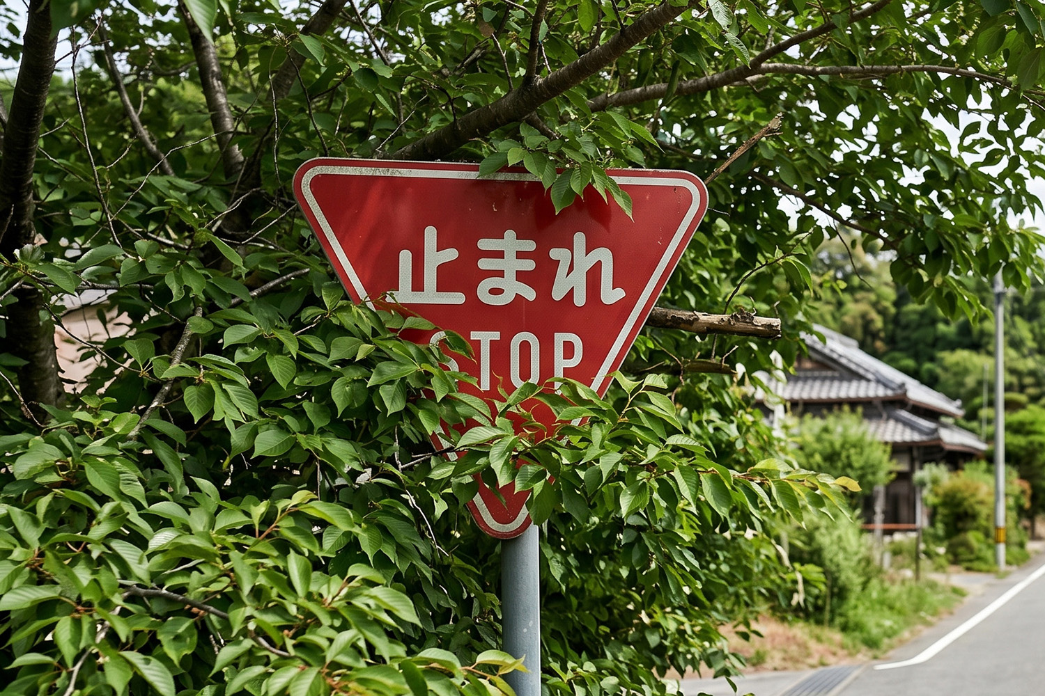 植木に標識が隠れていた場合のルールとは