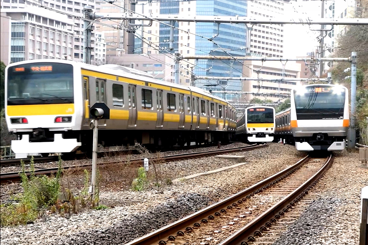 並走する電車