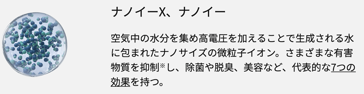 ナノイーX・ナノイーの解説