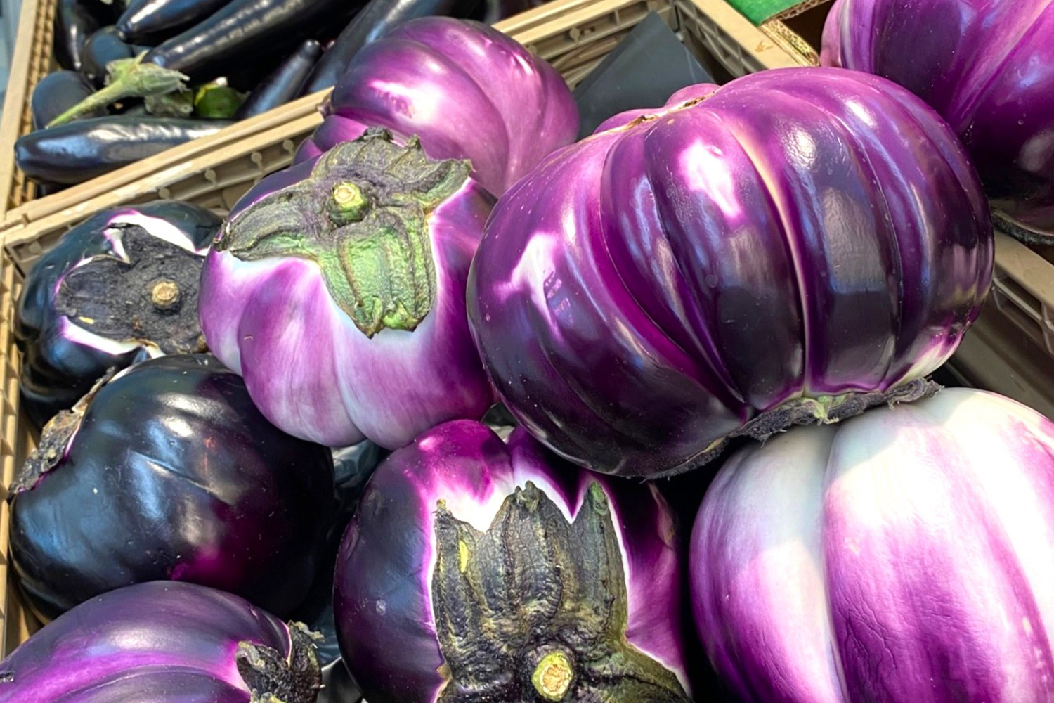イタリアの野菜 〜 画像28