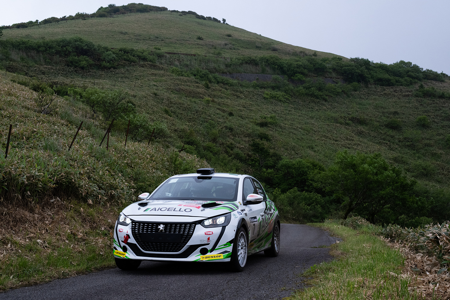 AICELLO 速心 DL208 Rally4