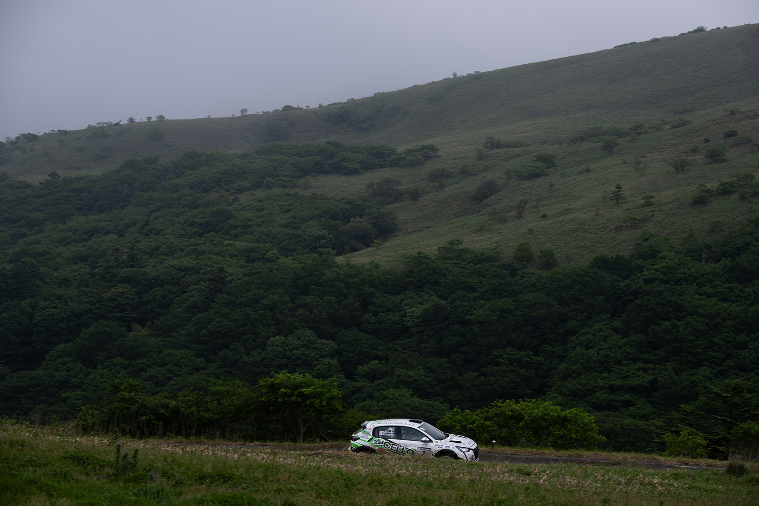 AICELLO 速心 DL208 Rally4 〜 画像26
