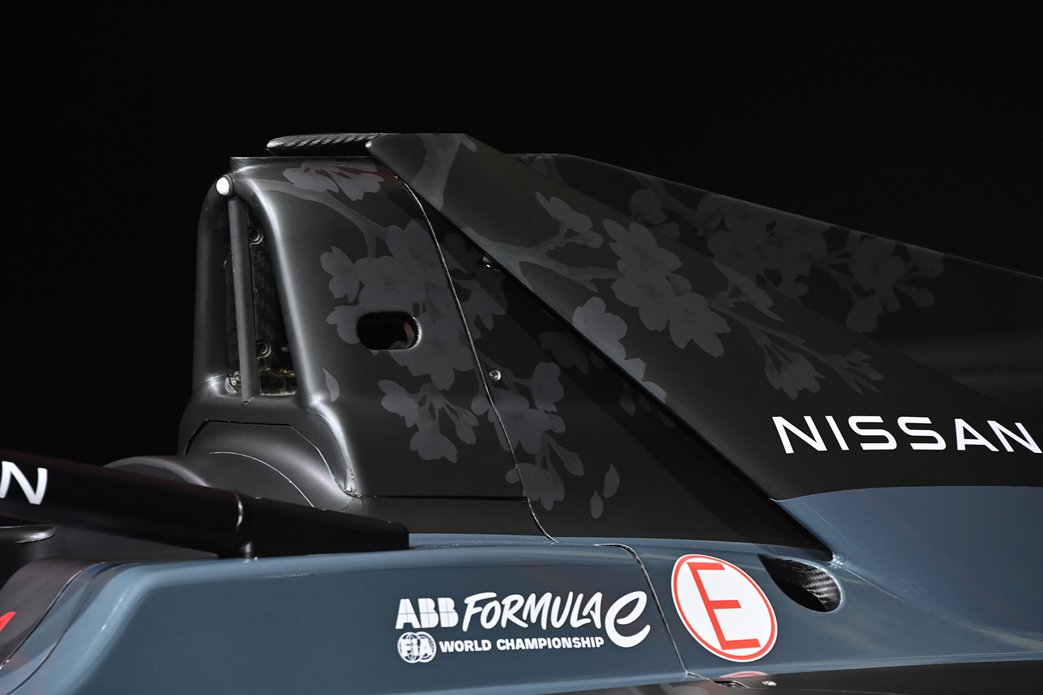 フォーミュラEに参戦する日産チームのドライバーが東京E-Prixへの意気込みを語った 〜 画像20