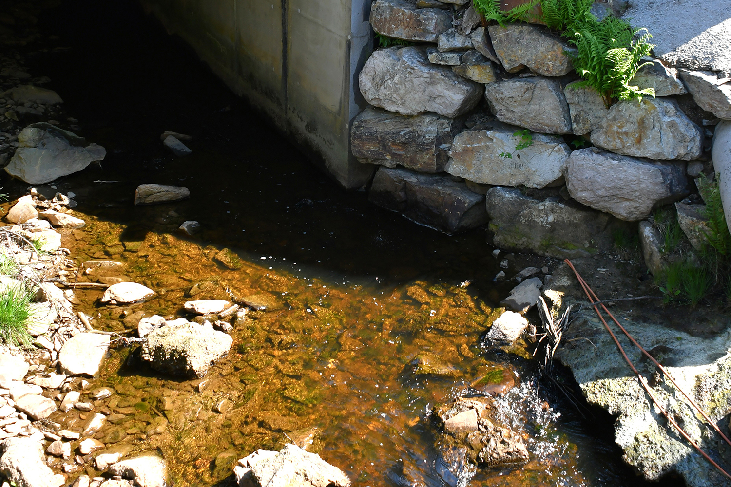 スパ・フランコルシャンのオゥ・ルージュの小川 〜 画像84