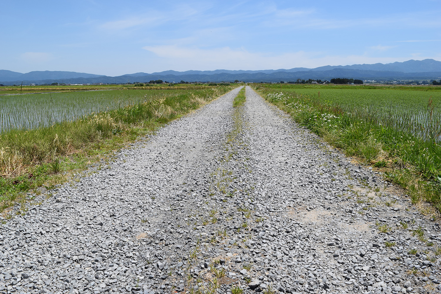 事故率８割減を実現した"舗装技術"の進化がスゴかった 〜 画像36