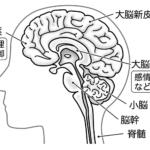 【画像】無自覚だけどアナタも煽り運転予備軍!?　クルマに乗ってイラッとした経験があるなら覚えておきたい「６秒ルール」とは 〜 画像15
