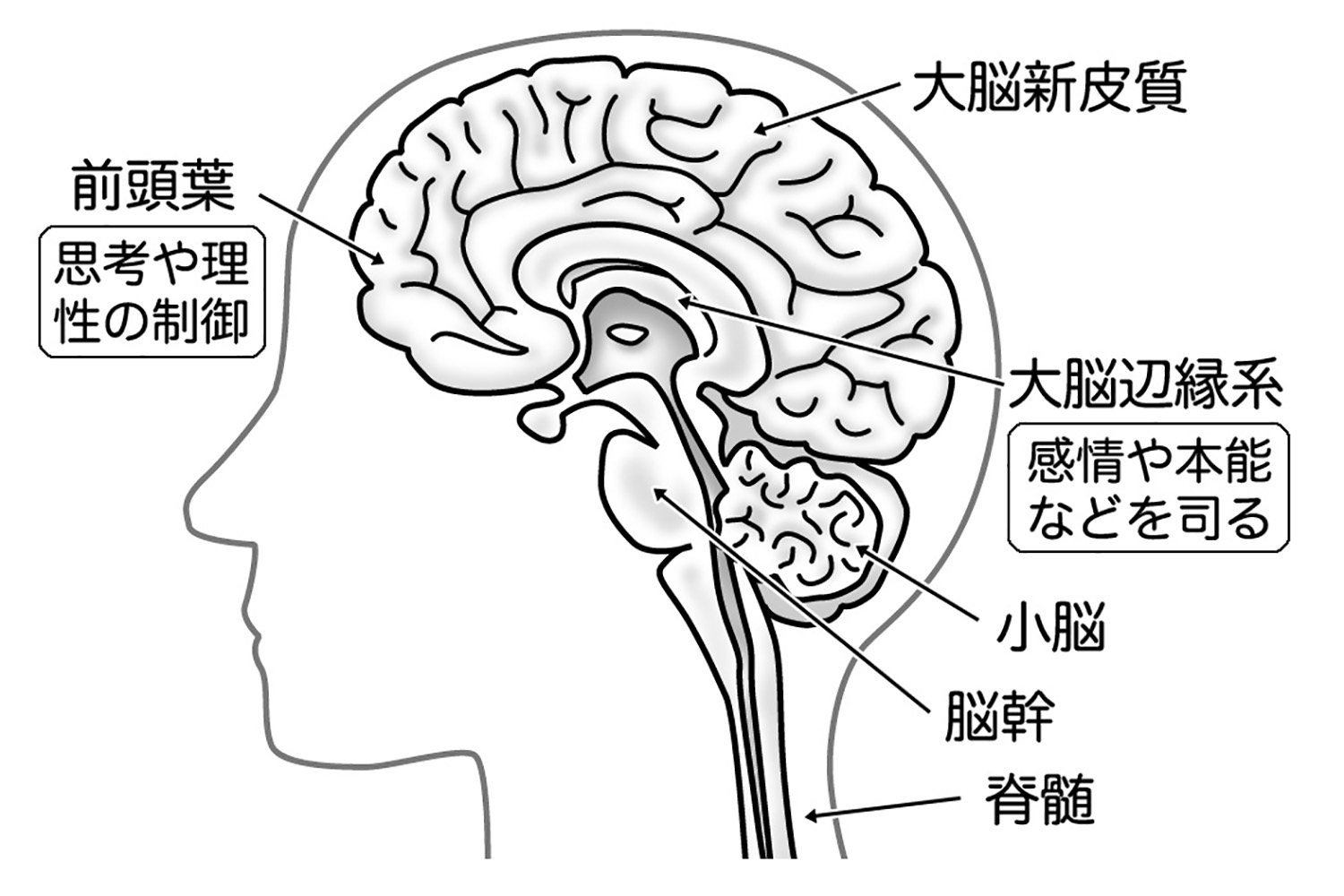 怒りの仕組み