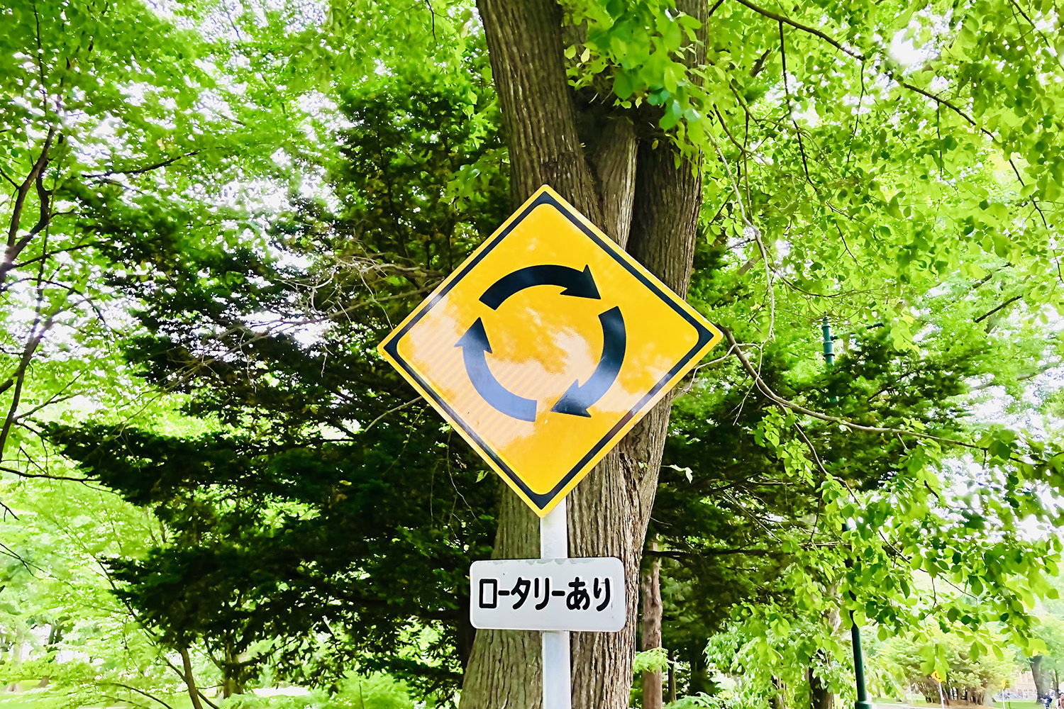 ベテランドライバーでさえ知らない道路標識と見落としがちな意味 〜 画像11