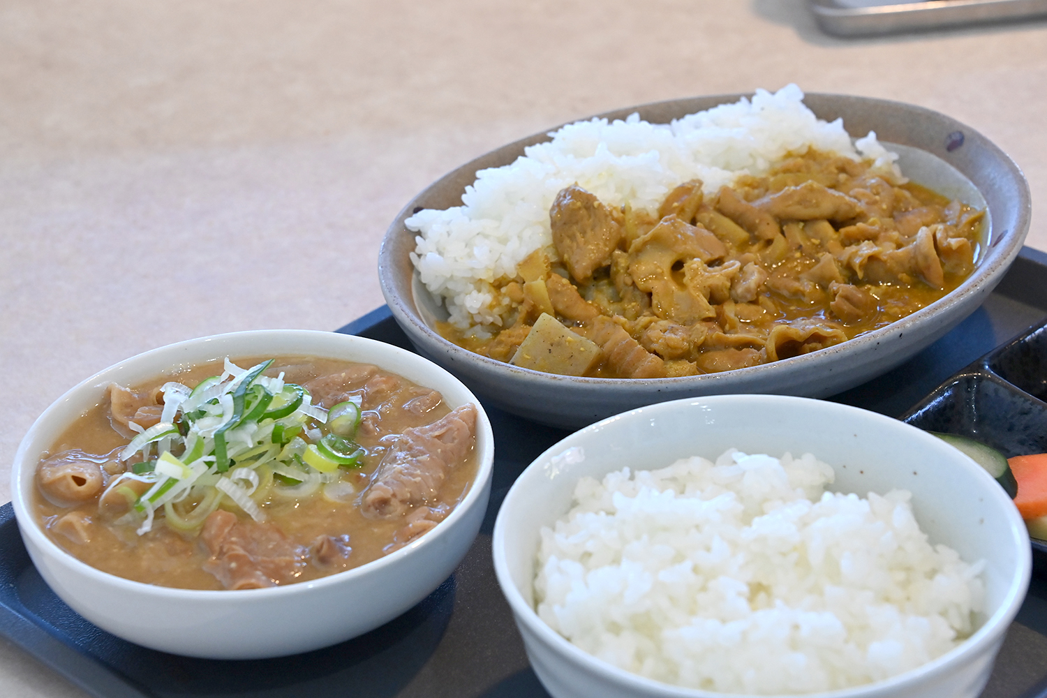 山梨に「もつ好きの楽園」があった【Ｐ専食堂】