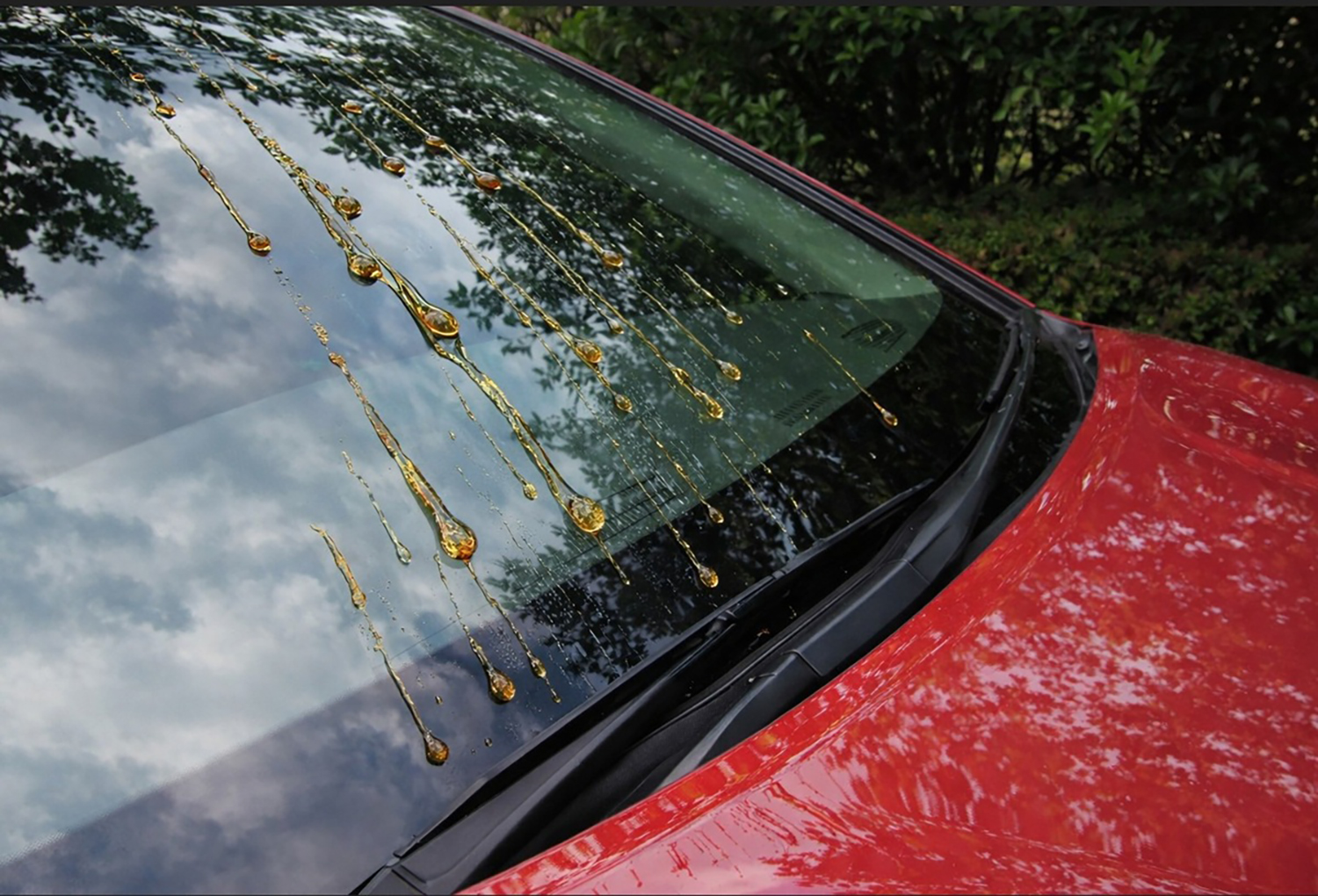 洗車マイスターが教える覚えておきたい「花粉」と「黄砂」の安全な落とし方 〜 画像13