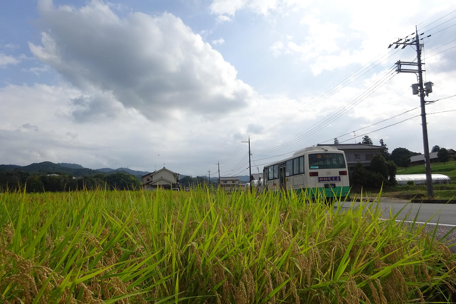 農村部を走るバスのイメージ
