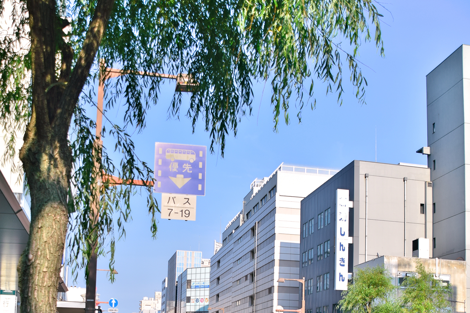 知っておきたいバスレーンのルールと種類 〜 画像1