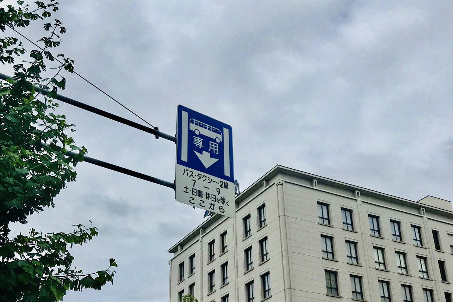 知っておきたいバスレーンのルールと種類 〜 画像6