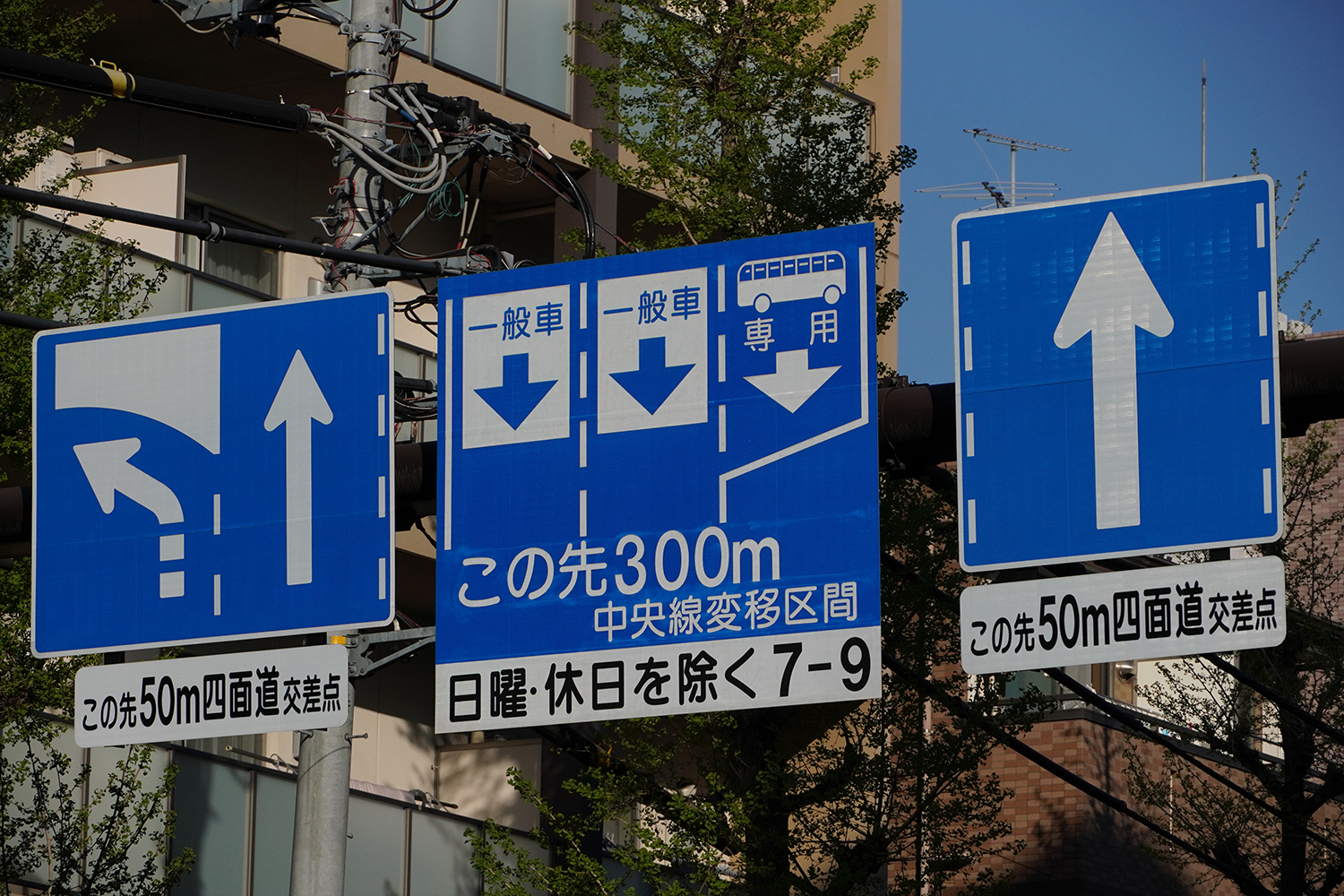 バス専用レーンのイメージ