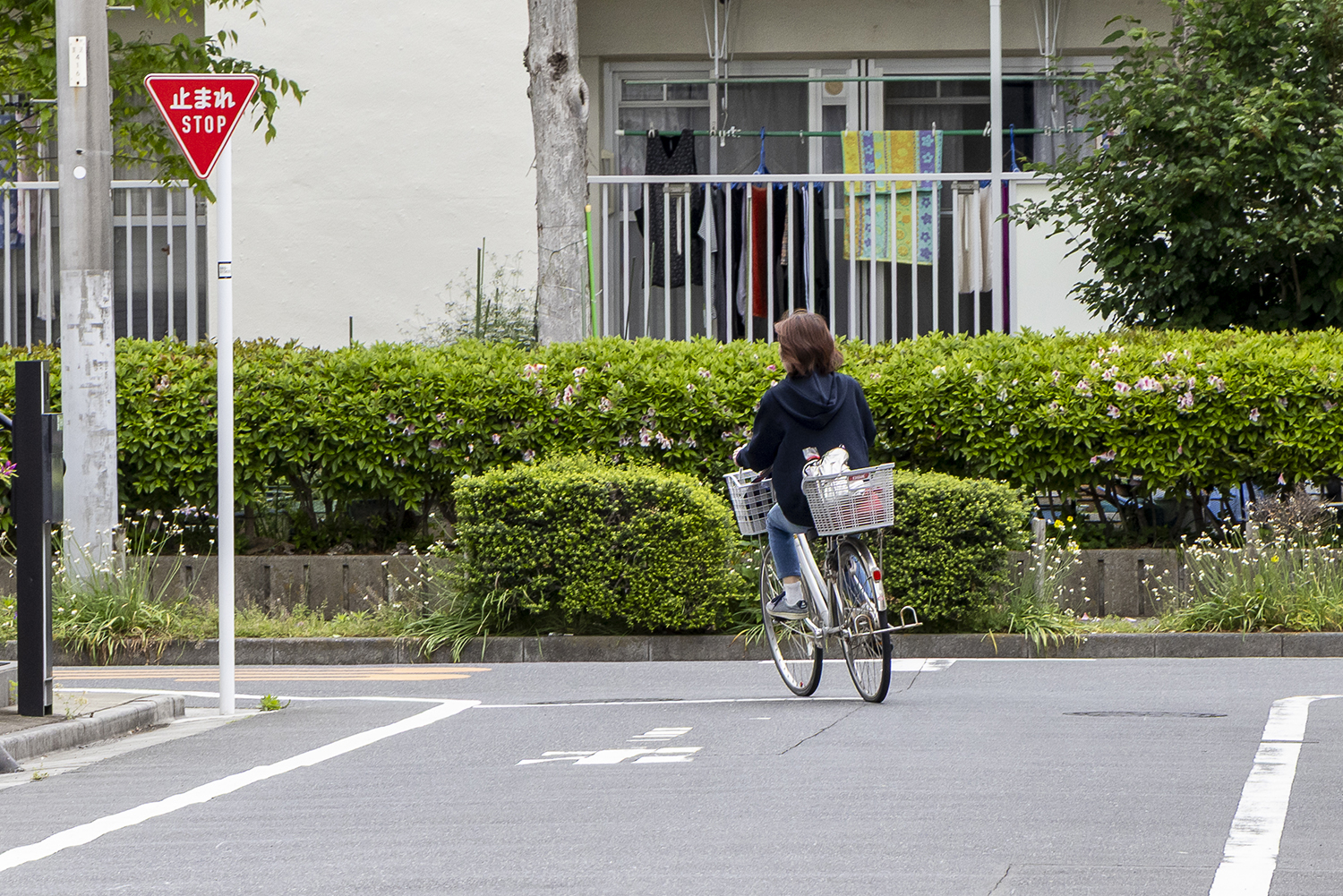 車道を走る自転車が増えたいまこそドライバーが知るべきこととは 〜 画像3