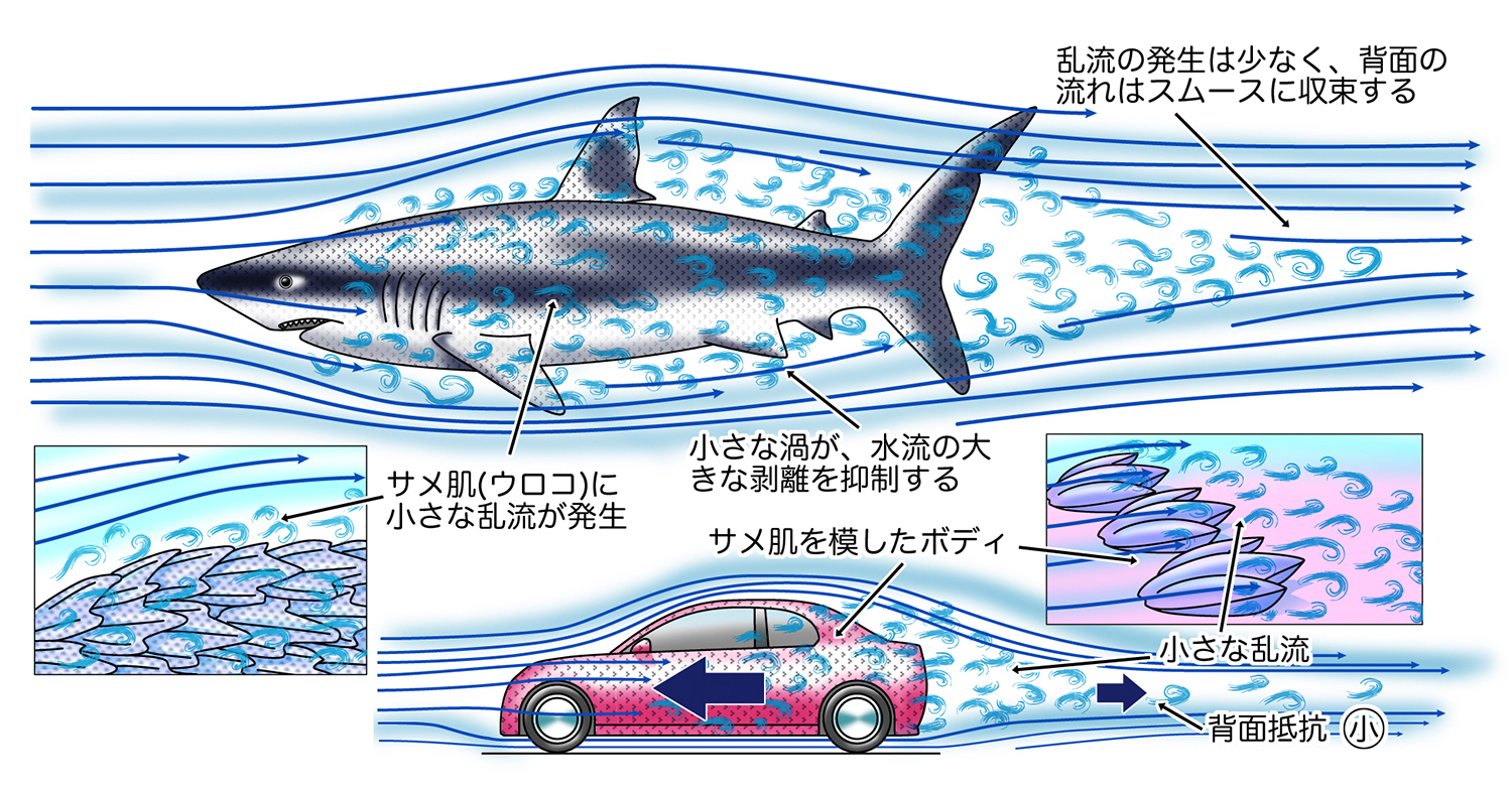 圧力抵抗の考え方