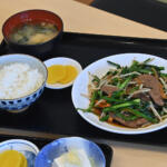 【画像】湘南だけど海鮮じゃなく肉を爆食い！　汁まで飲み干し必至のレバニラもサクサク唐揚げも絶品な「高砂食堂」に打ち抜かれた【Ｐ専食堂】 〜 画像10