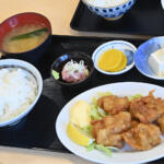 【画像】湘南だけど海鮮じゃなく肉を爆食い！　汁まで飲み干し必至のレバニラもサクサク唐揚げも絶品な「高砂食堂」に打ち抜かれた【Ｐ専食堂】 〜 画像9