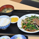 【画像】湘南だけど海鮮じゃなく肉を爆食い！　汁まで飲み干し必至のレバニラもサクサク唐揚げも絶品な「高砂食堂」に打ち抜かれた【Ｐ専食堂】 〜 画像8