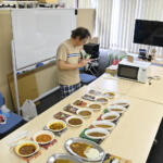 【画像】日本の自動車メーカーはクルマだけじゃなく「カレー」のレベルも高し！　トヨタ・ホンダ・スズキのレトルトカレー16種類を食べ比べたら全部感動もの【Ｐ専食堂】 〜 画像67