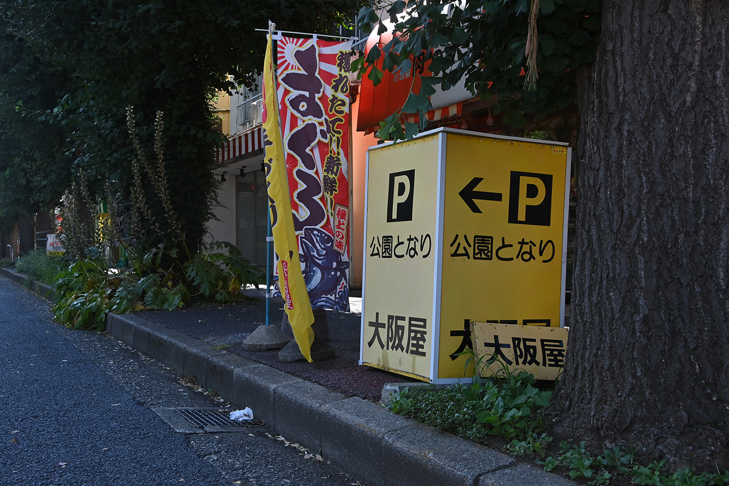 「市場食堂 大阪屋」はわざわざ喰いに行かなきゃダメな定食屋だった【Ｐ専食堂】 〜 画像15
