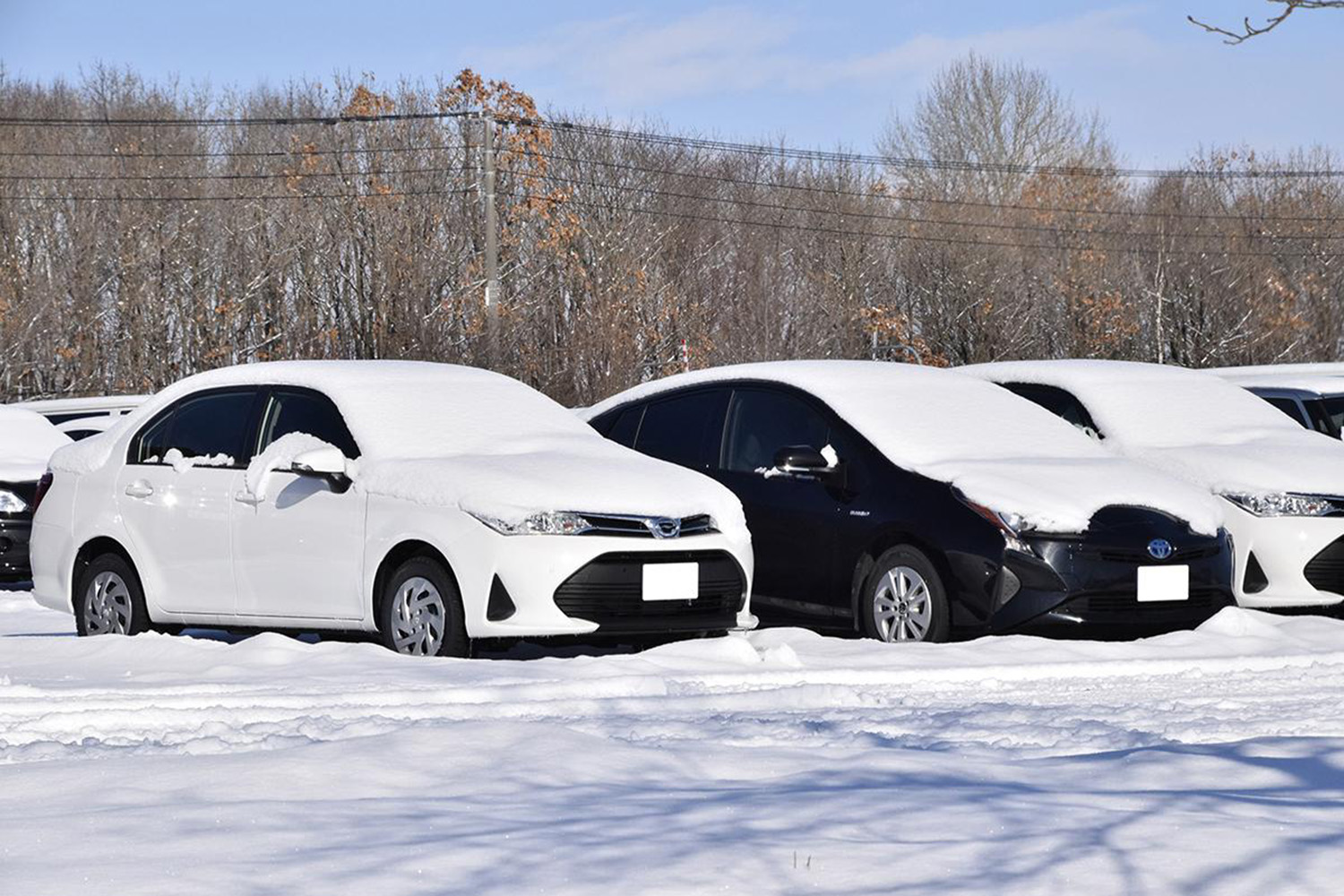 雪上での駐車 〜 画像1