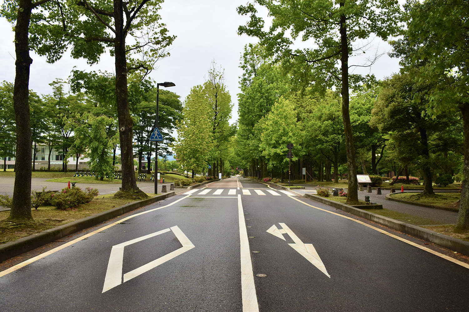 横断歩道のイメージ