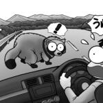 都会住まいでも他人事じゃない。タヌキや鹿をクルマで轢く「ロードキル」が増加している理由と予防策