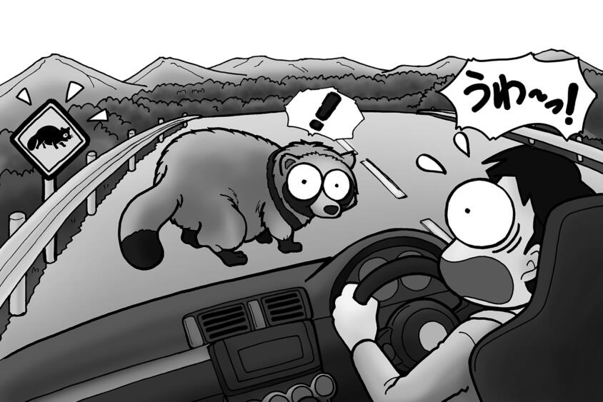 都会住まいでも他人事じゃない。タヌキや鹿をクルマで轢く「ロードキル」が増加している理由と予防策
