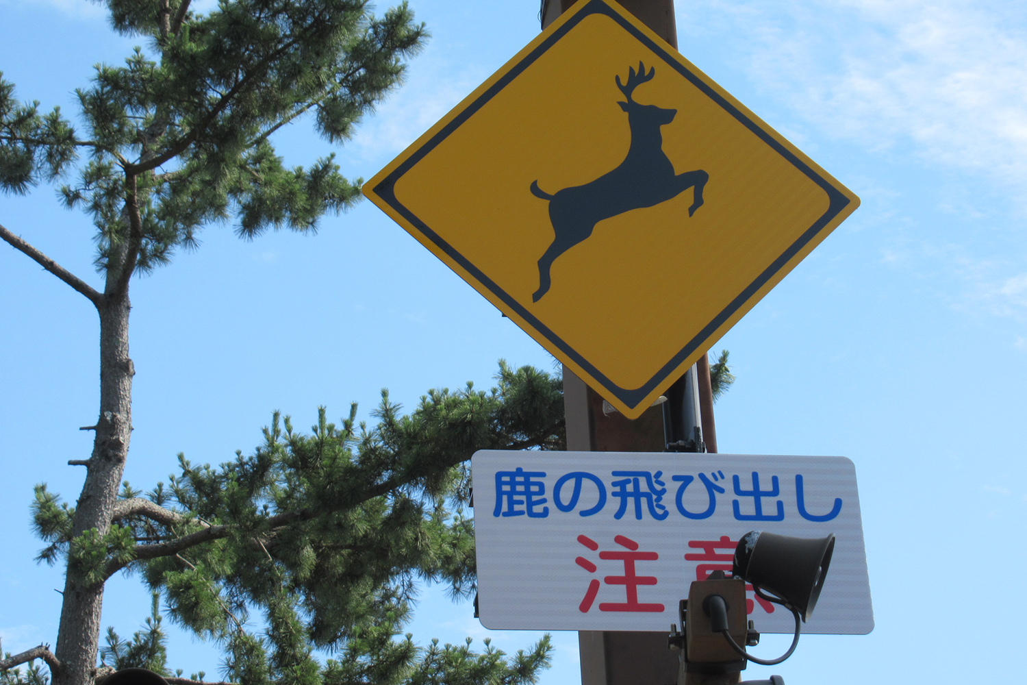 シカ飛び出し注意の標識