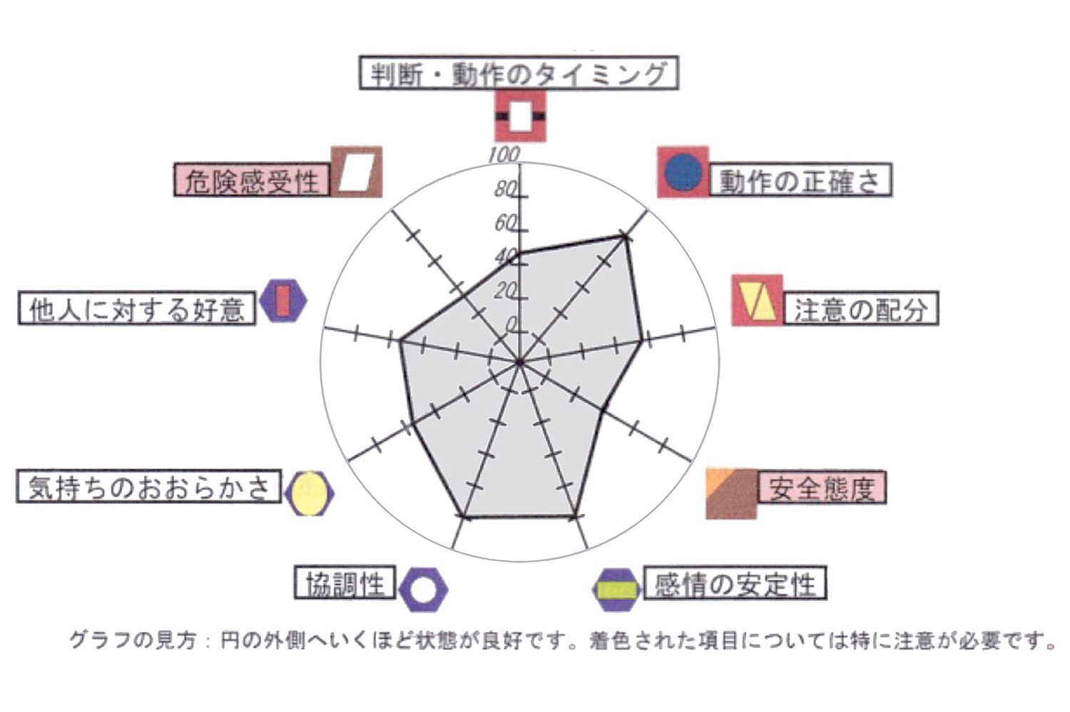 ナスバの一般診断の結果 〜 画像19